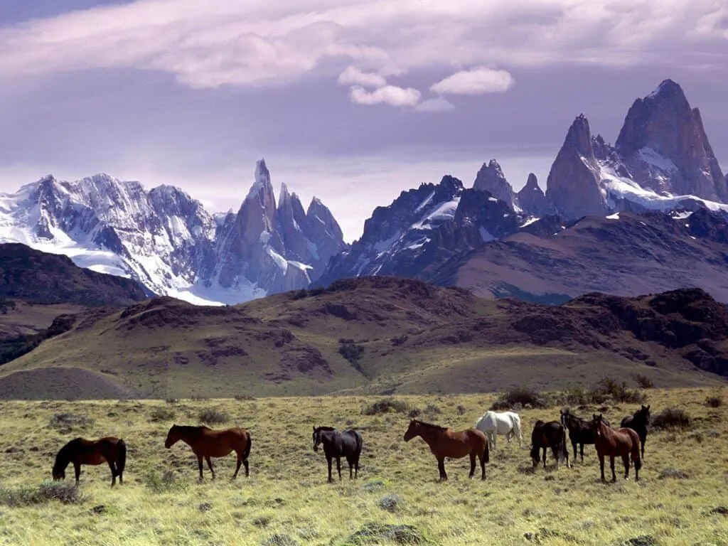 Patagonia Holidays | Patagonia, South America