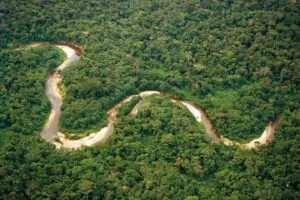 Amazon Rainforest Holiday | Ecuador | South America Travel