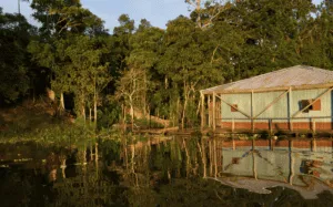 Tarapoto Lakes | Nomad Lodges | Plan South America