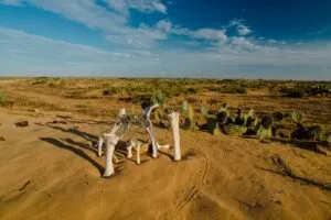 Punta Gallinas - Colombia